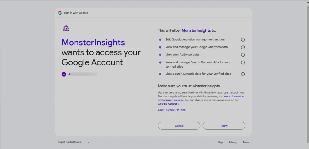 MonsterInsights access to Google Account